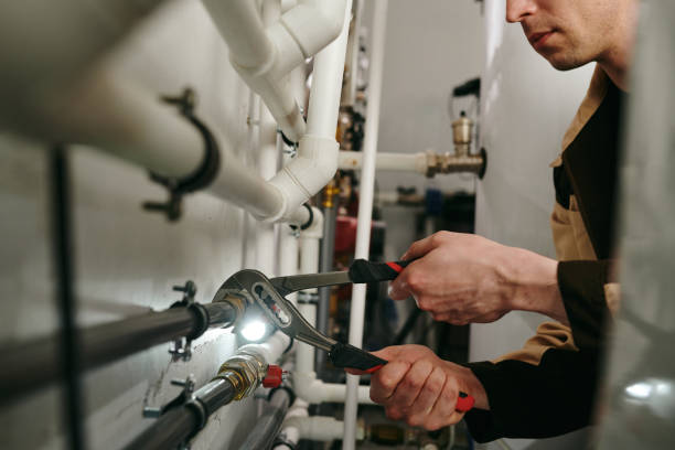 Best Local Plumber Services  in Shannon, MS