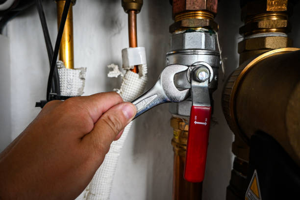 Best Emergency Plumber  in Shannon, MS